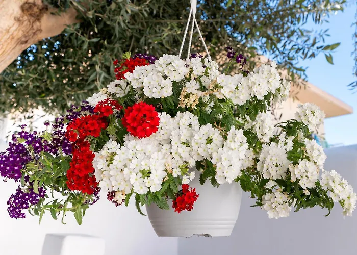 Del Capo * Rhodes City